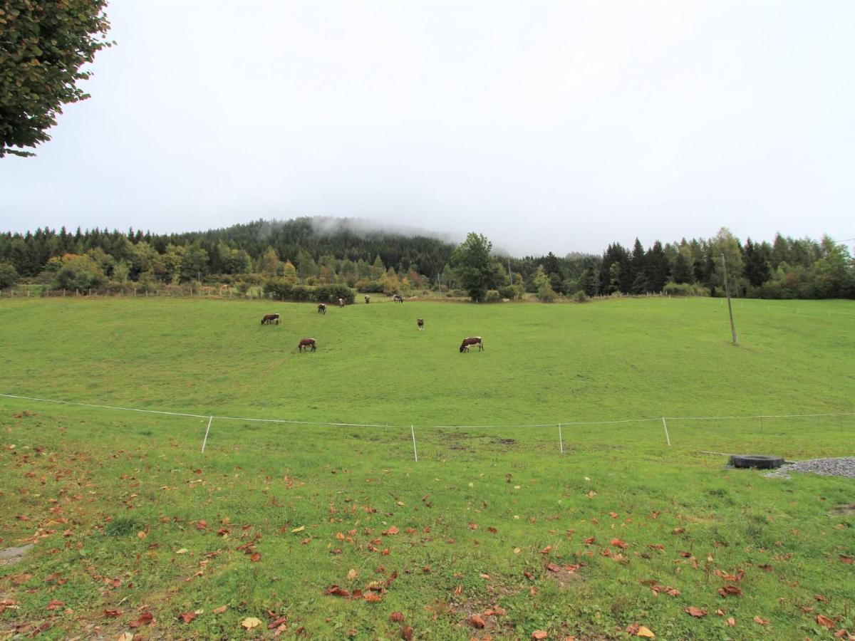 Beautiful Apartment In A Renovated Farmhouse In Fresach Carinthia Eksteriør bilde